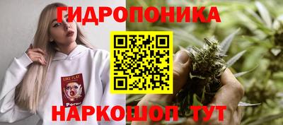 бошки Бийск