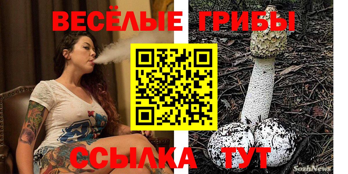 Галлюциногенные грибы Psilocybe  Галлюциногенные грибы Cubensis  Вход с VPN  Зима 